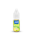 Blueberry Pomegranate Ice 10 mL E-Liquide JNR 