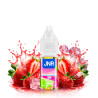 Strawberry Ice 10 mL E-Liquide JNR 