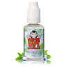Concentré Ice Menthol 30ml Vampire Vape