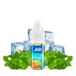 Fresh Mint 10 mL E-Liquide JNR 