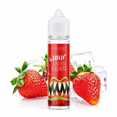 Freeze Grosse Fraise 50ml Liquideo